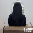 [울산] 달동미용실 신상 프라이빗샵 오브헤어 염색 솔직 후기