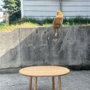나무와 함께-목공 입문 | [공지] 목공교육 수강생 모집 안내 - 취미목공부터 자격증 취득과 창업까지