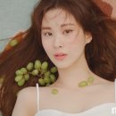 서현기획 이미지