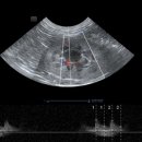 박동물종합병원 이미지