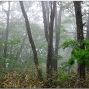 지리산의 아침 이미지