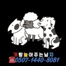 개놀자까페 이미지