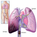 이나리메디컬 이미지