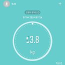 데이포