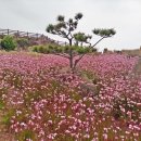 가파초등학교 이미지