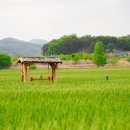 (주)청보리 이미지