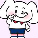 코끼리studio 이미지