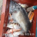하온호 이미지