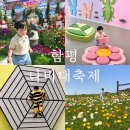 27 | 2026 함평 나비축제 전남 아이랑 갈만한곳 나빛파크 후기