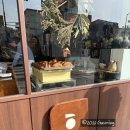 오카페 | 종로 서촌 카페 굴림 베이커리 후기 크루아상 빵오쇼콜라 포장 추천