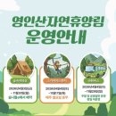 영인산자연휴양림 숲속야영장 | [국내여행] 충남 아산 영인산 자연휴양림 숲속의 집 비둘기 5.12~5.13 후기