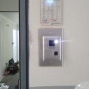 그린비디오 이미지