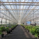 스마트팜의 미래 이미지