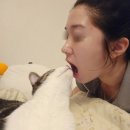 (주)코루파마 | 내돈내산 비중격연골 무보형물 코끝수술 후기 1탄 (전날/1일차)