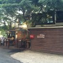 호두나무CAFE