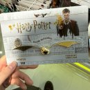 (주)사내스포츠게임물 | 두쫀쿠와 해리포터와 다이어트가 버무려진 일상