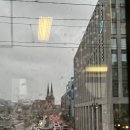 D01099 | [10월 독일&amp;스위스 여행] 드레스덴 1박 2일 | 츠빙거 궁전,군주의 행렬, 드레스덴 야경