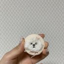 경기광주공방 늘here 반려동물자수 만들기 원데이클래스 후기