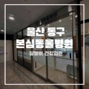 동구종합동물병원 | 울산 동구 강아지 건강검진 달봉이 첫 건강검진 솔직한 후기 본심동물병원