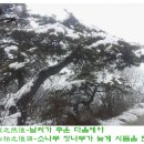 초목 이미지