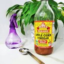 은천점 스포애니 (주)케이디헬스케어 | 🧃 “애사비, 진짜 다이어트에 도움 될까?” — 요즘 논란의 진실