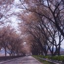 본도시락팔용점 네이버블로그