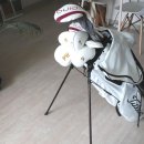 알피온 | [골프 실내 퍼팅 연습] 집에서도 퍼팅 연습 가능한 알피온 퍼팅컵 사용 후기!