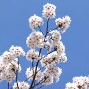 아양1로 이미지