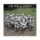 포레스