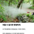 버그클리너방역