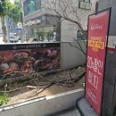 삼선동제2경로당 | 삼선동점심 고민은 소바와 바삭한 치즈카츠 정식으로 기분 좋게 해결했어요