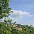 옥녀봉농장 이미지