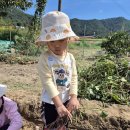 소풍농장 이미지