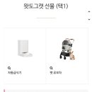 도그캣