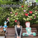 대소마을 | 강원도 원주 1박2일 여행/ 동화마을수목원 산책 후기 (+꿀팁)