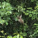 장유시장입구 천혜과일 | [푸꾸옥] 프리미어 빌리지 리조트, 오션빌라 3베드룸, 조식, 치맥 특전, 키스오브더씨 무료 티켓, 부대...
