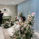 김해천문대 옥외(야외)화장실 | 서울 야외 웨딩홀 베스트웨스턴 프리미어 강남 호텔 GN가든 하객 후기 (주차, 뷔페, ATM)