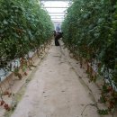 학생농장 이미지