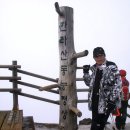 바다잔치 이미지