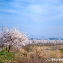 금호강강변공원 이미지