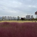 인천광역시 인천아시아드주경기장 연희크리켓경기장 이미지