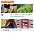 [학여울] 2025 차•공예 박람회 in 세텍 / 2025 티 페어 사전등록링크
