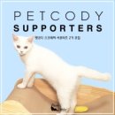 펫코디 이미지
