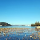 신정행정사 사무소 이미지