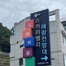 삼척 &lt;도째비골&gt; 탐방기: 해안과 예술이 만난 이색 체험 공간