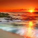 송학초교 이미지