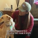 미소한식당 네이버블로그