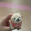 카츠스테이 이미지