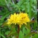 기린초등학교 이미지