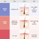피어나스킨&바디
